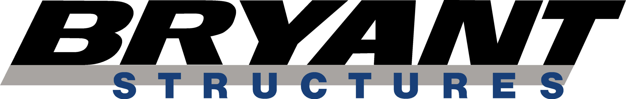 BSI Logo BSI Logo
